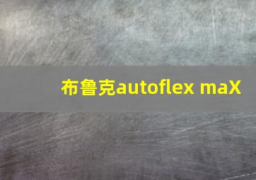 布鲁克autoflex maX